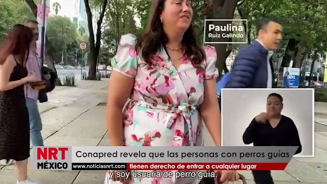 Conapred revela que las personas con perros guías tienen derecho de entrar a cualquier lugar