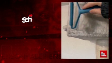 Sahibinin temizlik yaptığın gören kedinin şaşkınlığı