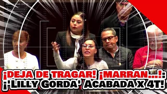 ¡Deja de tragar como marran…! ¡la Lilly oxigenada recibe lección de una valiente diputada de la 4T!