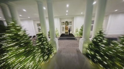 La impactante decoración navideña de la Casa Blanca: "¿Pero cuántos árboles han metido ahí dentro?"