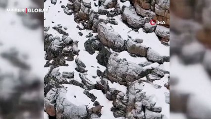 Yer Erzincan: Dağların ortasında hareketli dakikalar kameraya takıldı
