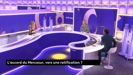 Mercosur : "Nous continuons à mettre toute notre énergie pour lutter contre cet accord"