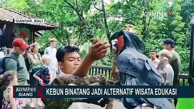 Ramai Pengunjung, Bali Zoo Jadi Objek Wisata Edukasi Menarik Selama Libur Natal dan Tahun Baru