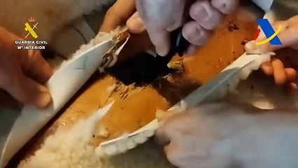 Encuentran 10 kilos de cocaína escondidos en dos sillas de montar a caballo en el aeropuerto de Barcelona