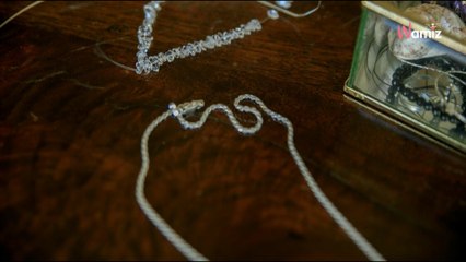 Son chien ramène une montre de luxe et une boîte à bijoux à la maison : elle appelle la police en panique