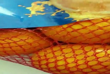 AUCHAN Oranges à jus 2kg