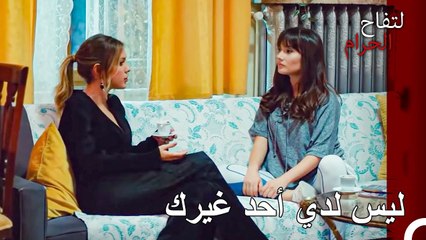 كان على النجم أن يلجأ مع أخيه - التفاح الحرام الحلقة ال 56