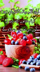 Surah Rahman | Mohamed El Fakeh | سورۃ الرحمٰن کاملتہ القاری محمد الفقیہ