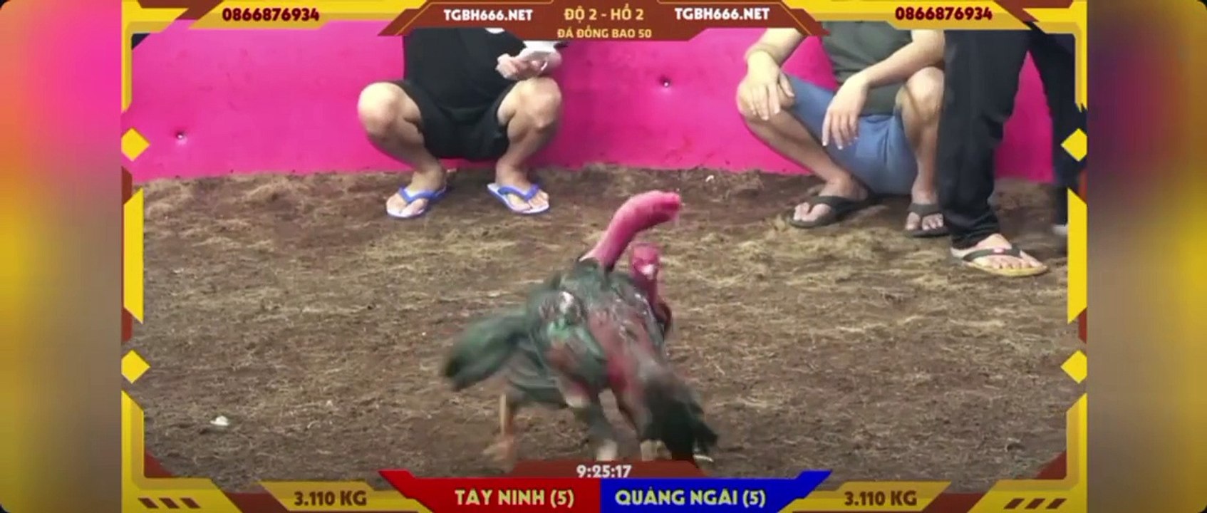 Ô chân vàng Idol Thiện Tây Ninh win 14 hồ (hồ 2)