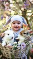 Baby Playing in a Basket with Rabbits #viral #fyp #Usa