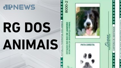 Governo cria carteira de identidade para cães e gatos