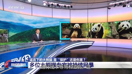 tintucbatbangdanggautruc ‐ Được tạo bằng Clipchamp