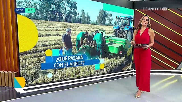 ​¿A qué precio está el kilo de arroz en mercados del eje central?