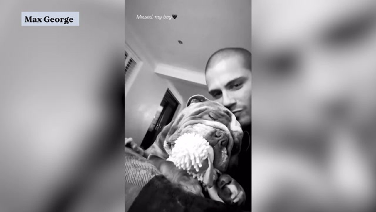 Max George Posts Adorable Video With Dog Post Surgery