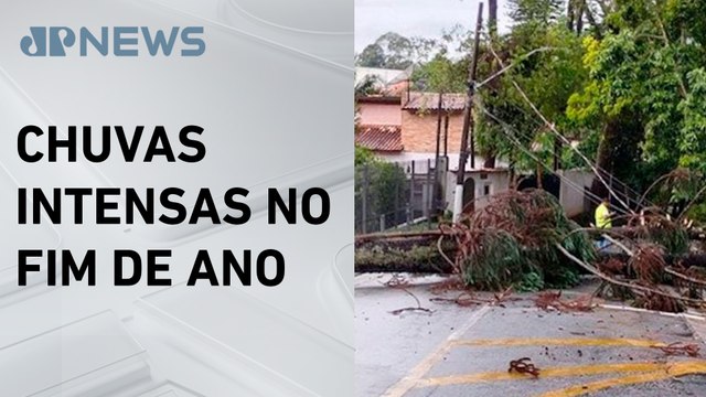 São Paulo registra quedas de árvores, postes e alagamentos