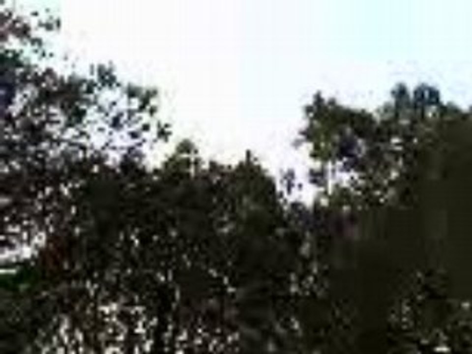 vtt freeride