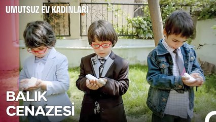 İlk Evcil Hayvan Deneyimi Hüsranla Sonuçlandı - Umutsuz Ev Kadınları