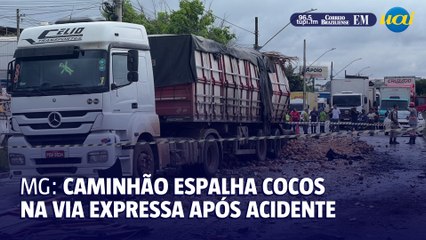 Acidente com caminhão espalha cocos na via expressa
