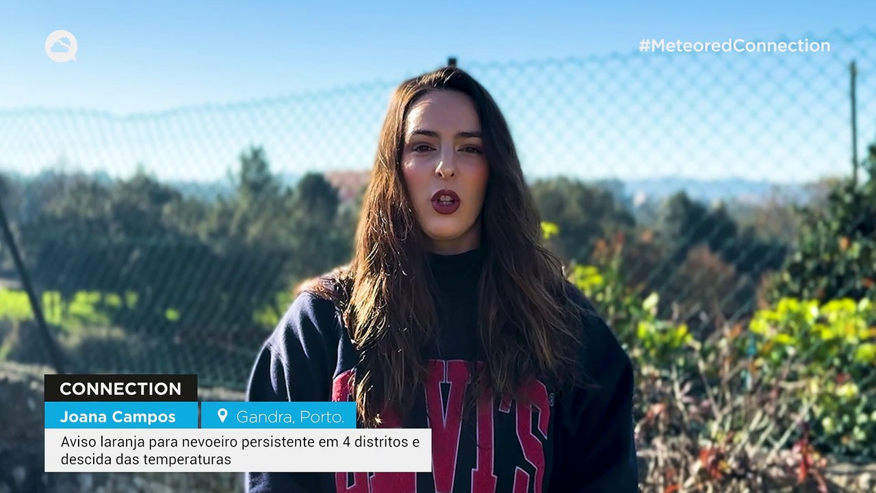 Aviso laranja para nevoeiro persistente em 4 distritos e descida das temperaturas: saiba quais as zonas mais afetadas