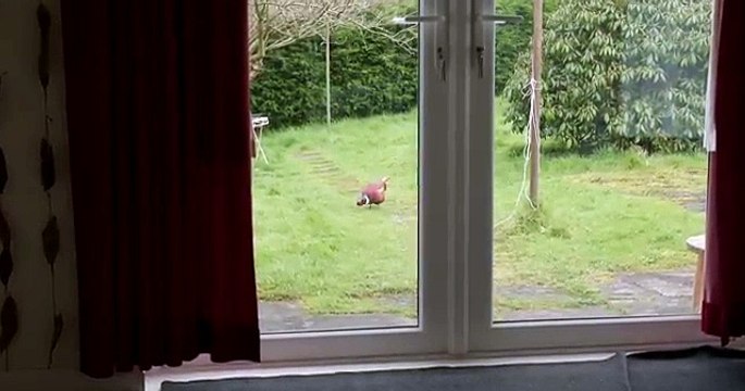 House of Dead | Full Horror Movie#HouseofDead #FullHorrorMovie #HorrorFilm #HorrorMovies #Thriller