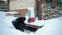 Welcome to My Off Grid Alaskan Log Cabin#OffGridLiving #LogCabin #AlaskanAdventure