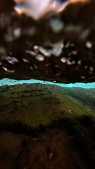 Imagine being a fish seeing this view 🤯