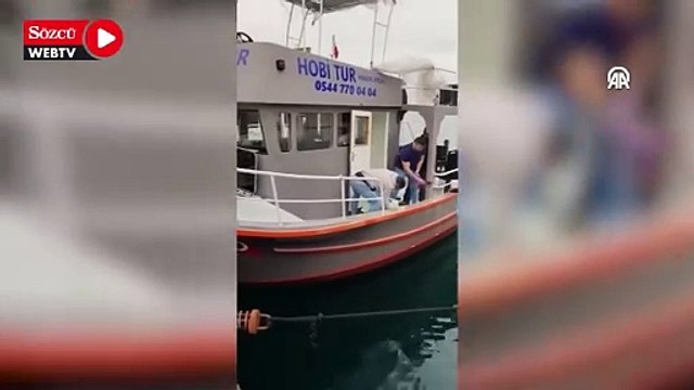 Balıkçılar denizde boğulmak üzere olan tilkiyi kurtardı