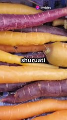 Fascinating Vegetable Facts You Probably Didn't Know! 🥕🍅🌶️"