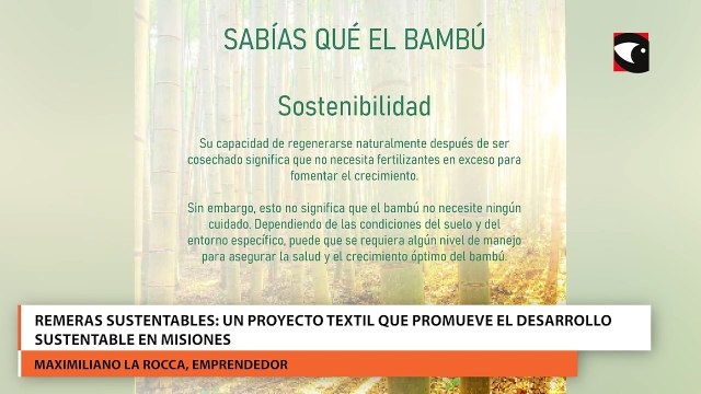 Remeras sustentables: un proyecto textil que promueve el desarrollo sustentable en Misiones