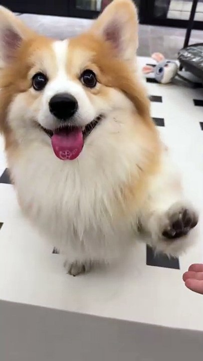 😊😊