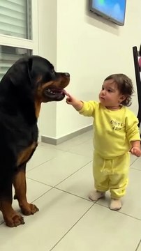 Baby Play With Kids #doglover #dogoftheday #doglife #instadogs #petstagram #puppies #puppylove #puppylife (1)