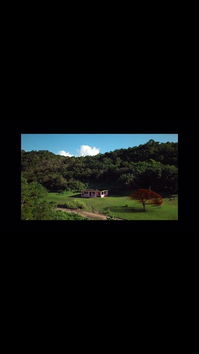 Bad Bunny : la bande-annonce de son nouvel album "DTmF (Debí Tirar Más Fotos)"