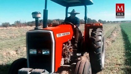 Monreal adelanta iniciativa de Morena contra maíz transgénico