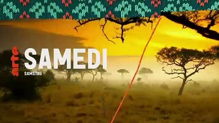 Explore the Wonders of Serengeti on December 28th 🐾