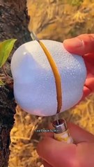 Top Life Hacks You Need to Know Shorts