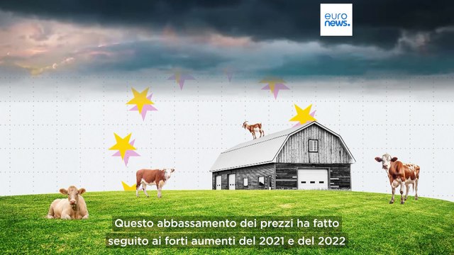 Olio d'oliva, latte e cereali: come sono cambiati i prezzi dei generi alimentari nel 2024