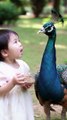 Baby Girl's Magical Playtime with a Majestic Peacock in the Park