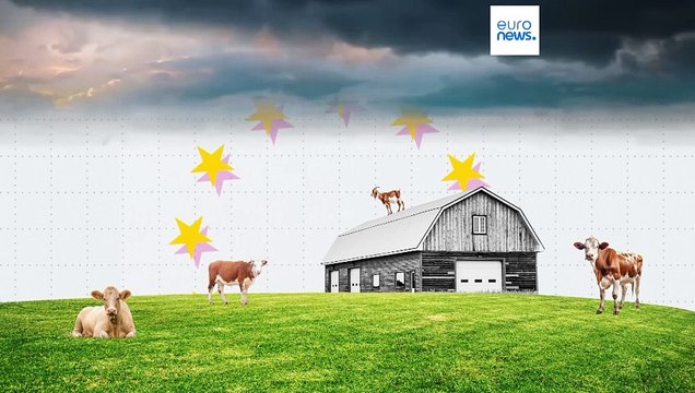 Евростат: в 2024 году цены на сельхозпродукцию в ЕС немного снизились