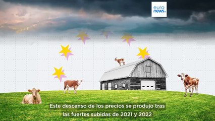 Aceite de oliva, leche y cereales: ¿Cómo fluctuaron los precios de los alimentos en 2024?