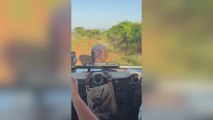 El terror de todo el hace un safari: un hipopótamo persigue y ataca con la boca abierta su jeep