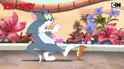 Tom and Jerry 😺🐭| The Great Quacker Hunt! | Compilation | Cat and Mouse |
