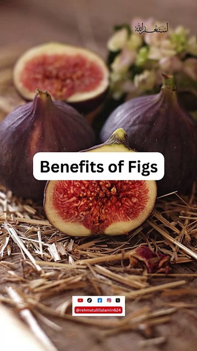 Figs #shorts #trending #youtubeshorts #ytshorts