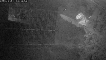 Morador se assusta com 'luz misteriosa' e pede ajuda para entender o que se passa em chácara na Grande Curitiba (parte 2
