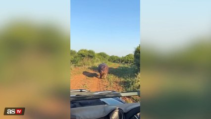 Hippopotamus chases him at full speed, and what the tourist does next is unbelievable!