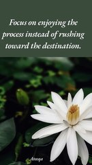 AK Motivational Quotes