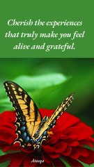 AK Motivational Quotes