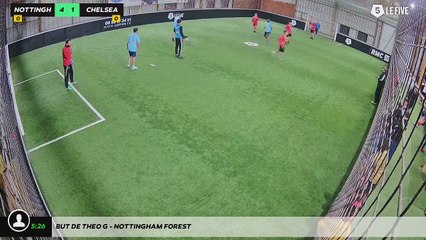 But de Theo G - Nottingham Forest