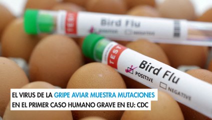 El virus de la gripe aviar muestra mutaciones en el primer caso humano grave en EU: CDC