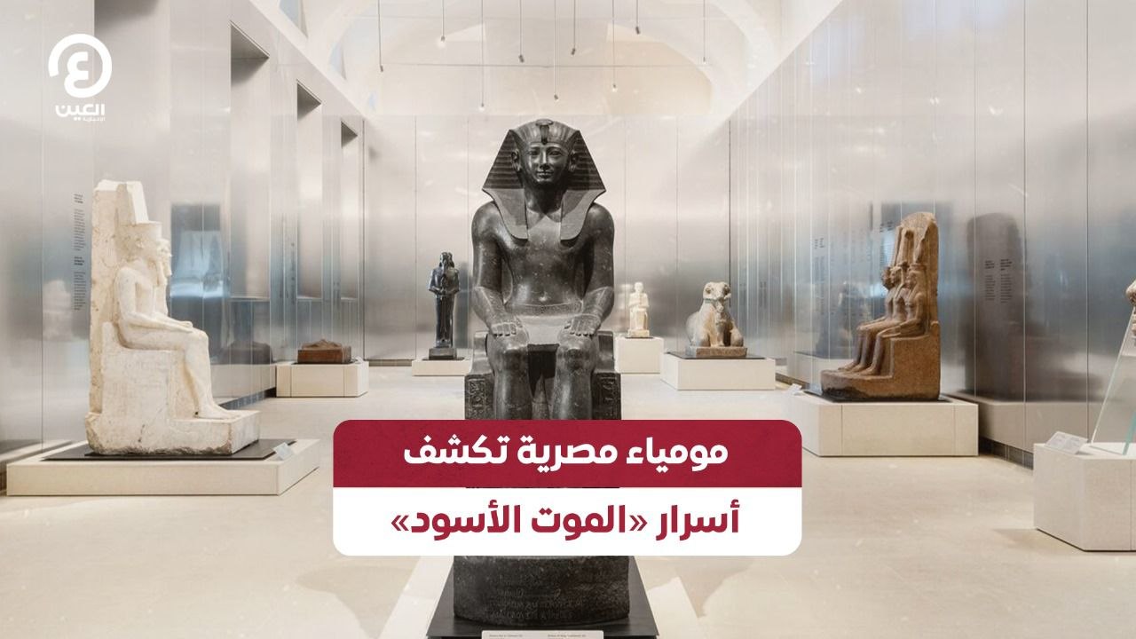 مومياء مصرية تكشف أسرار «الموت الأسود»