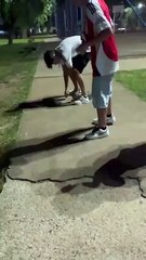 Perro muere luego de que lo alcanzó un mortero